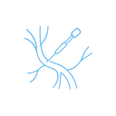 Vascular Access